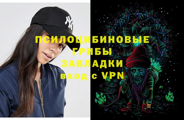 соль ск Белокуриха