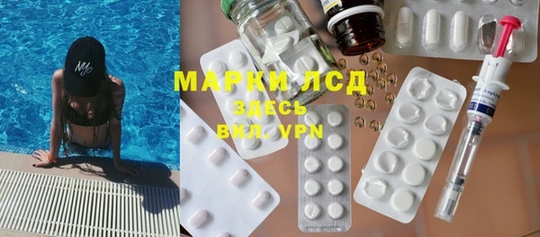 стаф Болхов