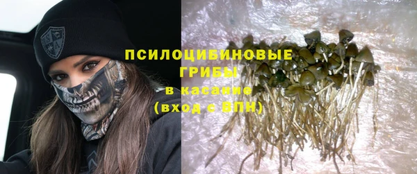соль ск Белокуриха