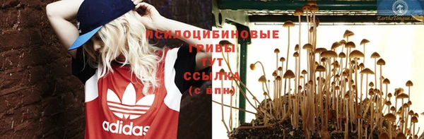 соль ск Белокуриха