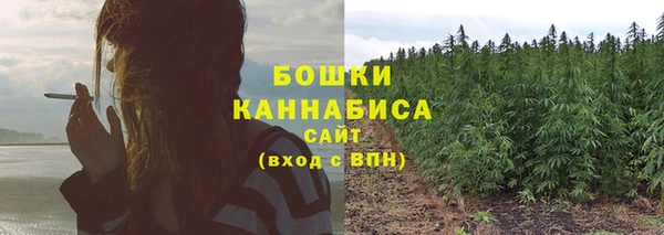 прущие крисы Болотное