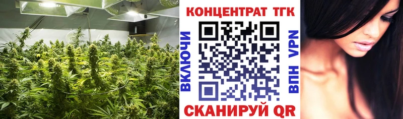 MEGA ТОР  Макаров  ТГК THC oil 