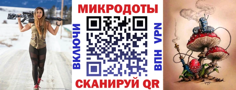 где продают   Макаров  Псилоцибиновые грибы Psilocybine cubensis 